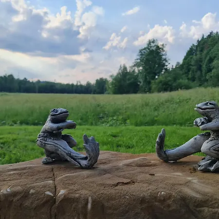 בקתה Zabie Dworki Luxury &